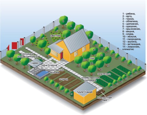 Схема расположения на дачном участке