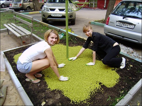 Использование щебня в ландшафтном дизайне