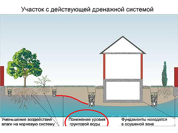 Дренаж для просушки подвала