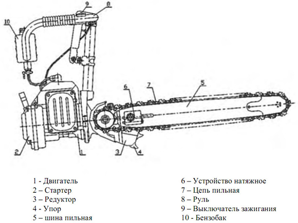 схема бензопилы дружба